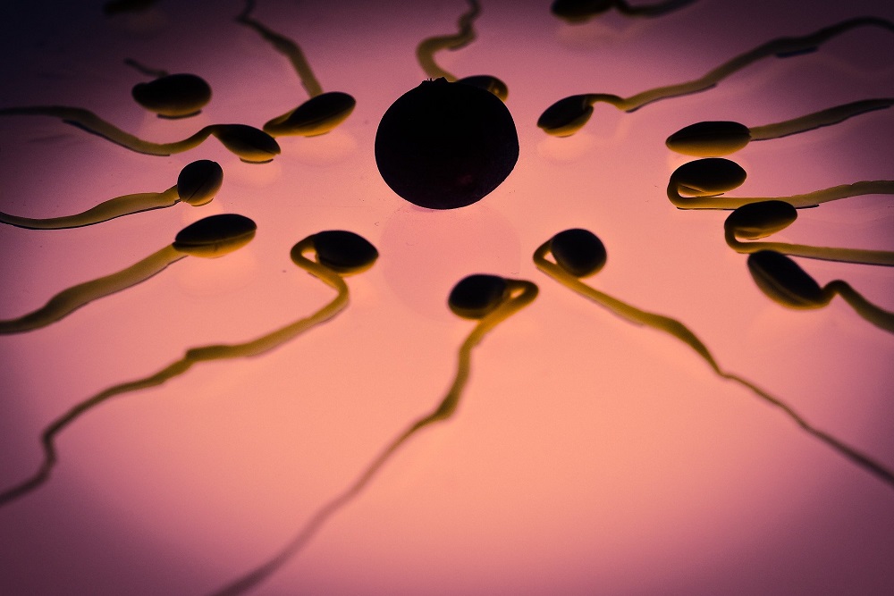 Saúde masculina: Dieta pode influenciar na qualidade do esperma